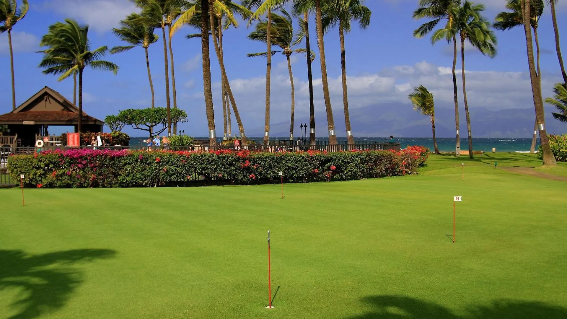 Apartment Papakea #A201 Condo Kahana United States