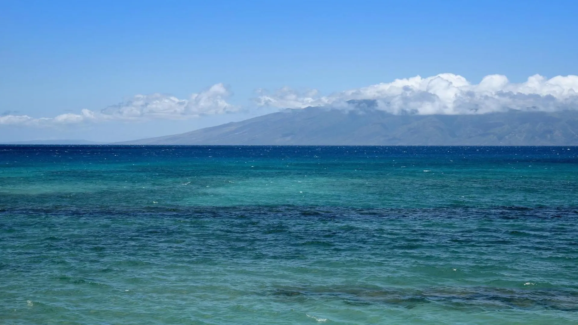 Papakea #A201 Condo Kahana Apartment
